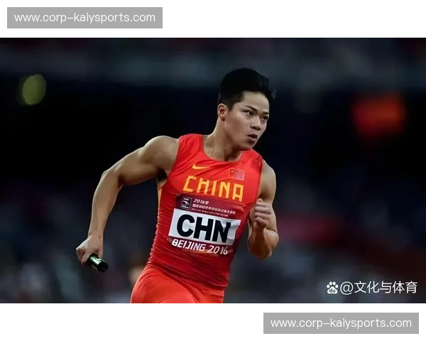 体育盛事回顾：盘点过去的辉煌与未来的希望